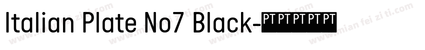 Italian Plate No7 Black字体转换